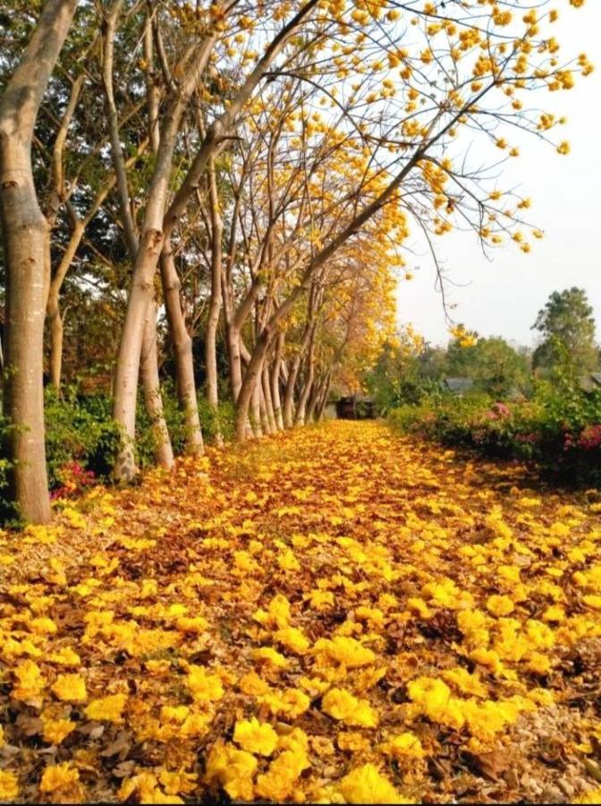 Denchai City Resort เด่นชัยซิตี้ รีสอร์ท Phrae Dış mekan fotoğraf