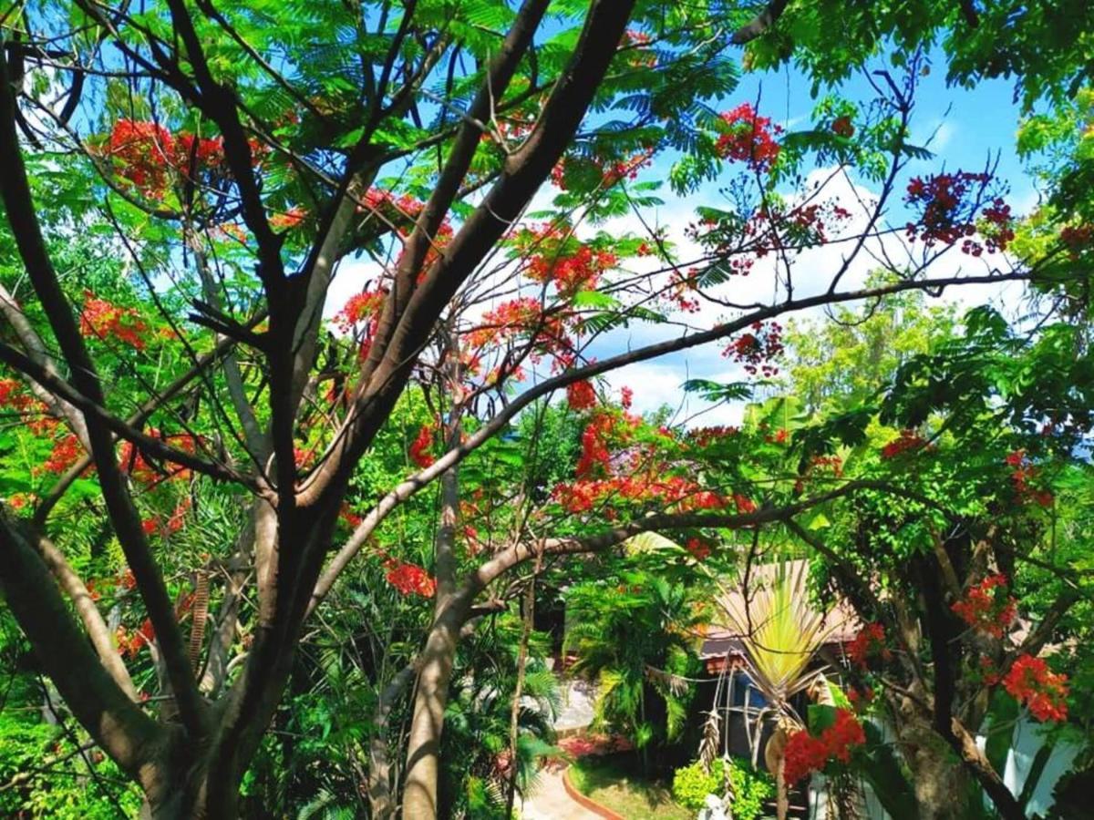 Denchai City Resort เด่นชัยซิตี้ รีสอร์ท Phrae Dış mekan fotoğraf